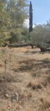 PL135 – Plot 1304 sq.m. – Arfara Messinia – 35000€