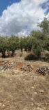 PL136 – Plot 2422 sq.m. – Arfara Messinia – 30000€